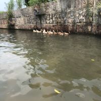 評論圖片 1