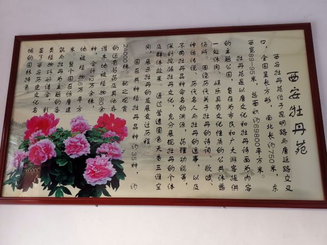 The Peony Garden Of Xi An Attractions Xi An Travel Review Travel Guide Trip Com The Peony Garden Of Xi An Attractions Xi An Travel Review Travel Guide Trip Com