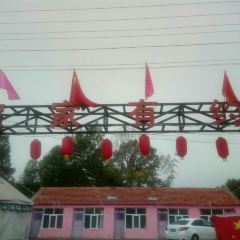 农家有约 User Photo