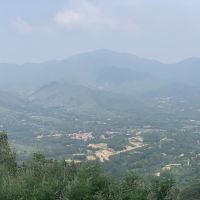 評論圖片 1