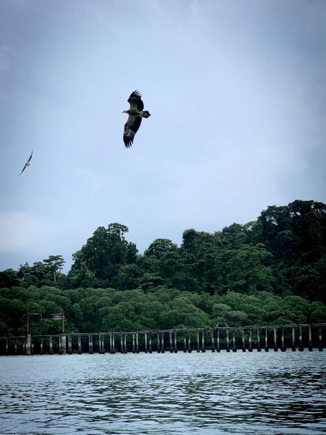 Pulau Singa Besar