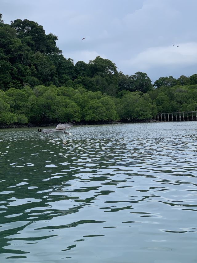 Pulau Singa Besar