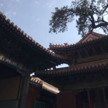 評論圖片 1