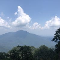 評論圖片 1