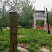 評論圖片 8