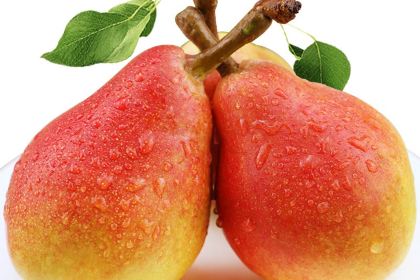 KE LI MU SHAO KAO KANG GUO