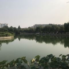 지미차이 여행 사진