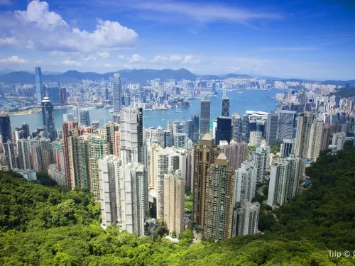 Best View Of Hong Kong Skyline From Victoria Peak