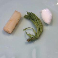SHANGZUO User Photo