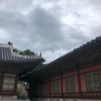 評論圖片 1