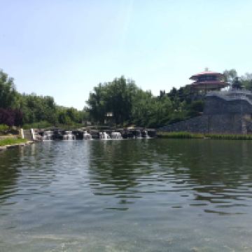評論圖片 5