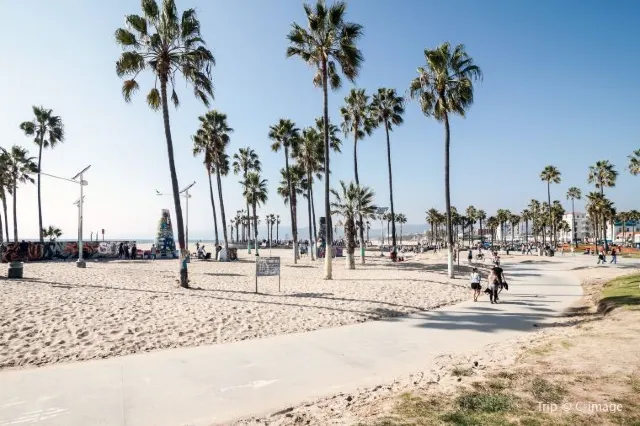If adrenaline is all you want -- things to do in Los Angeles