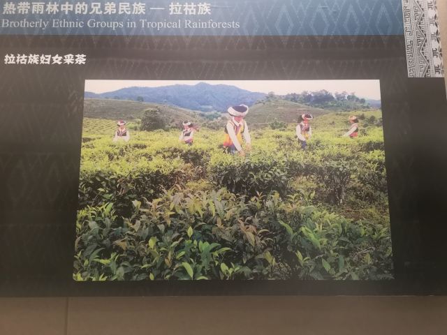 西雙版納民族博物館