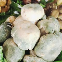 Jingchuan Wild Mushrooms Restaurant User Photo