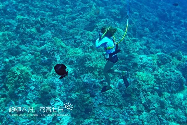 繽紛夏威夷 | 如何玩轉彩虹州,這幾種顏色告訴你!