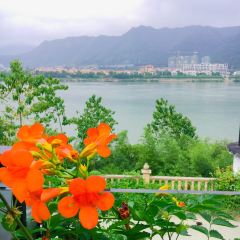 香格麗舍音樂餐廳張用戶圖片