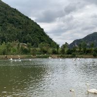 評論圖片 3