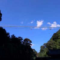 評論圖片 2