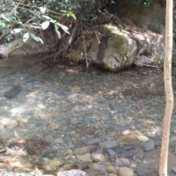 評論圖片 3