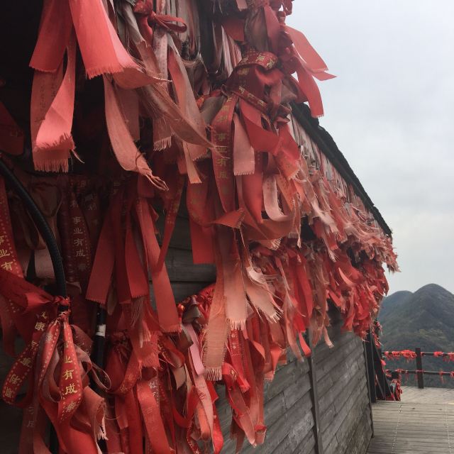 Nanshan Bamboo Sea