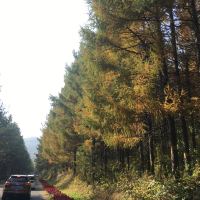評論圖片 4