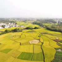 評論圖片 8