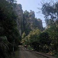 評論圖片 3
