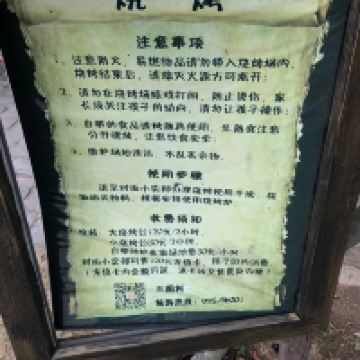 評論圖片 6