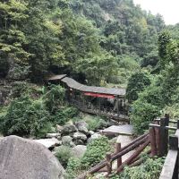 評論圖片 8