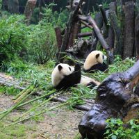 評論圖片 1