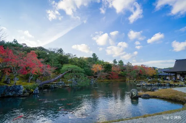    15 Beautiful Temples To Visit in Kyoto