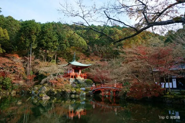    15 Beautiful Temples To Visit in Kyoto