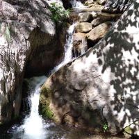 評論圖片 4
