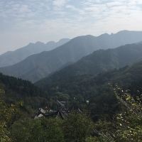 評論圖片 1