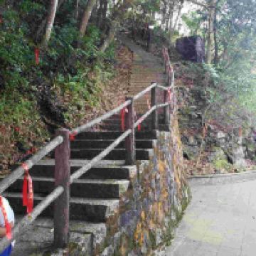 評論圖片 4