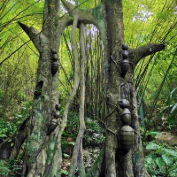 評論圖片 4