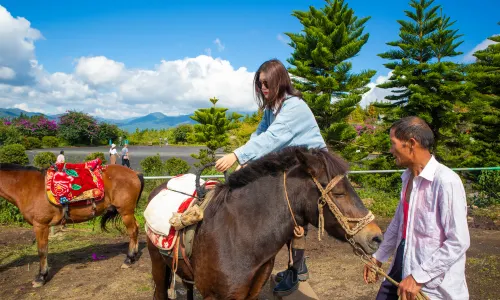 Horse Riding in TengchongHorse Riding in Tengchong