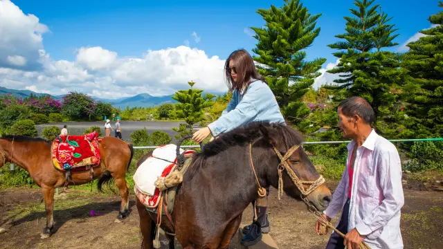 Horse Riding in TengchongHorse Riding in Tengchong