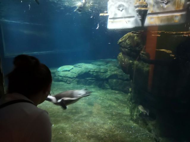 Changfeng Ocean World