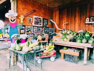 My child’s kindergarten has an activity specifically for children to celebrate Halloween by going to the farm to pick pumpkins. Picking pumpkins is a very traditional Halloween activity and one of the best autumn activities to do with children. Many schools brought their students to participate by bus. The children will take classes in the farm barn, and the farm grandfather will introduce some fruits and vegetables. There are also many small animals on the farm that you can get close to, they are super cute! Ghost costumes are indispensable for Halloween, and the ghosts on the farm are dressed very fashionably! The most fun thing is of course picking pumpkins and taking the big pumpkins home. I highly recommend everyone to come and play!