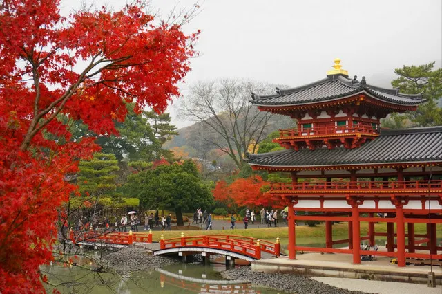 Among All the World Heritage Sites in Kyoto, Which Should You Choose?