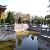評論圖片 5