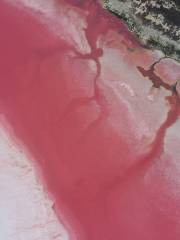 Pink Lake