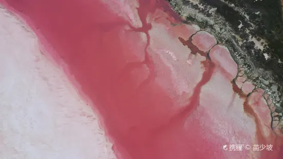 Pink Lake