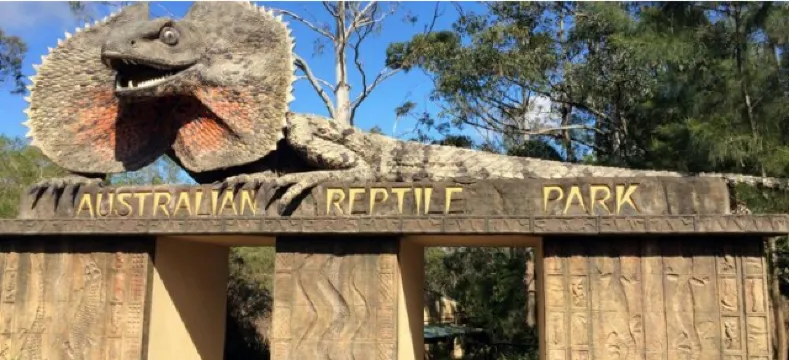 Fabulous 12 Things to Do in Brisbane