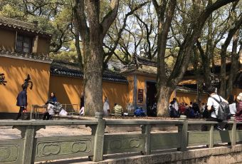 普陀山雷迪森莊園·蓮府用戶圖片