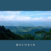評論圖片 5