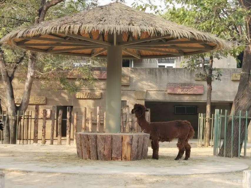 4_Beijing Zoo