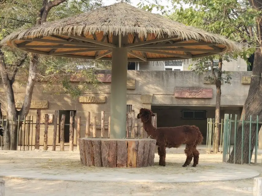 4_Beijing Zoo