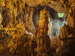 Maolan Karst Forest